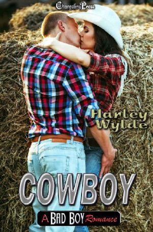 [Bad Boy Romance 04] • Cowboy